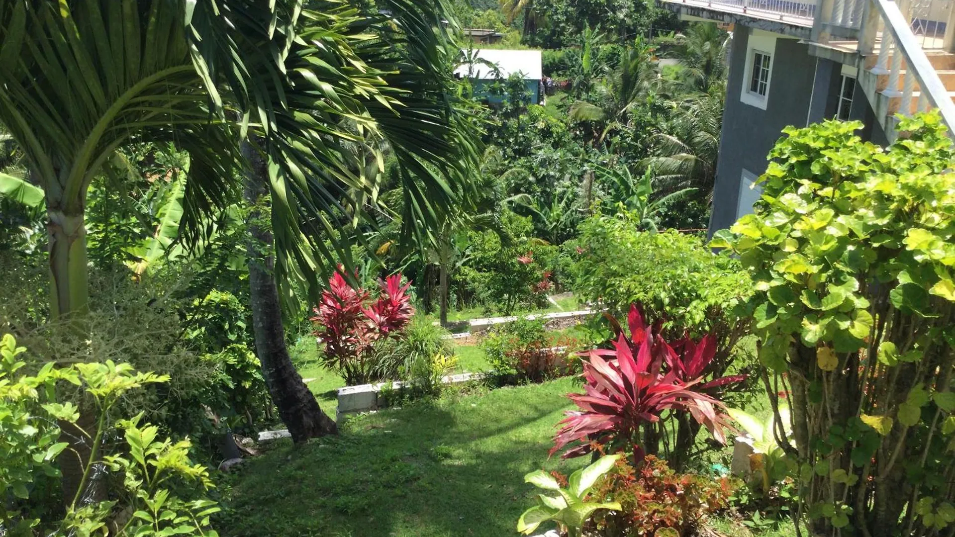 Serenity 2-Bed Apartment In Port Antonio Jamaica